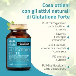 GLUTATIONE FORTE SALUGEA 60CPS GLUTATIONE FORTE SALUGEA 60CPS
