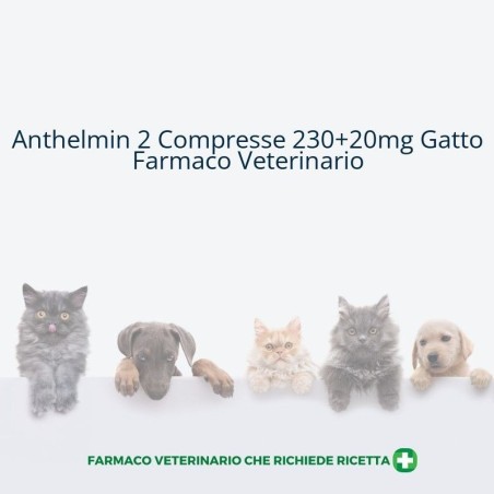 ANTHELMIN*2 cpr 230 mg + 20 mg gatti ANTHELMIN*2 cpr 230 mg + 20 mg gatti