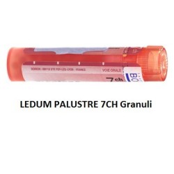 LEDUM PALUST 7CH GR 4G