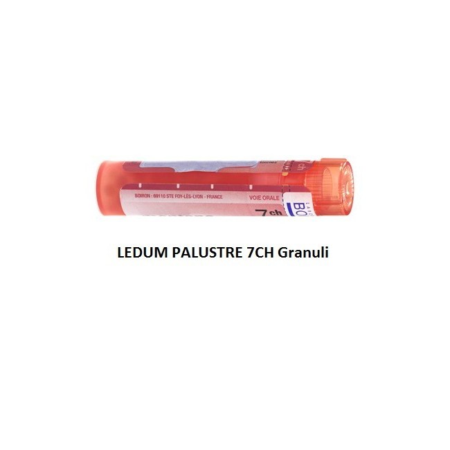 LEDUM PALUST 7CH GR 4G