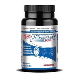 PERFORMANCE BRAIN 60CPS