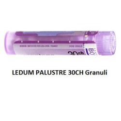 LEDUM PALUSTRE (BOIRON)*80 granuli 30 CH contenitore multidose 4G