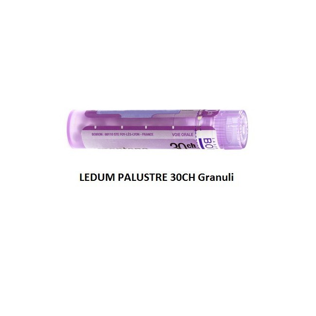 LEDUM PALUSTRE (BOIRON)*80 granuli 30 CH contenitore multidose 4G LEDUM PALUSTRE (BOIRON)*80 granuli 30 CH contenitore multidose 4G