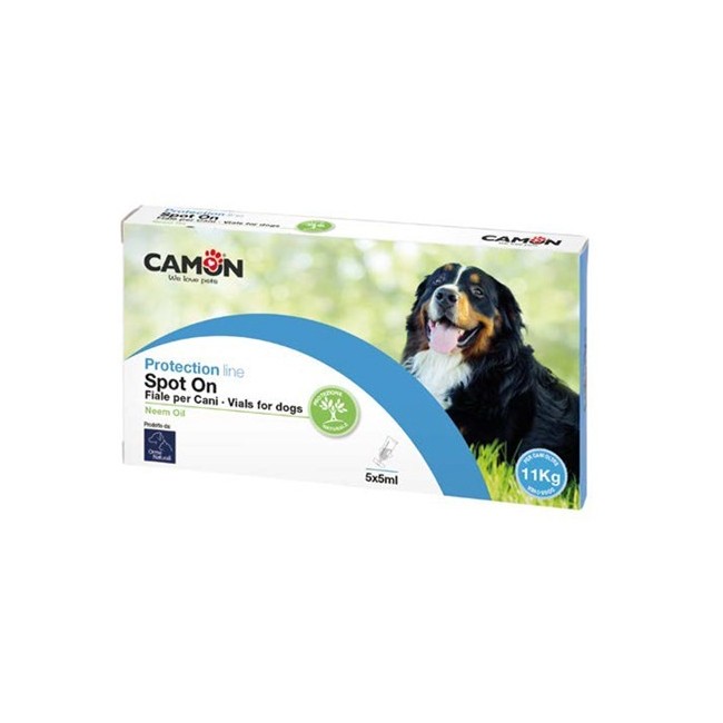 PROTECTION SPOTON CANE  10 5X5