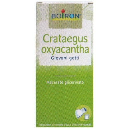 CRATAEGUS BOIRON MACERATO GLICERICO 60 ML CRATAEGUS BOIRON MACERATO GLICERICO 60 ML