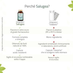 RESET INTESTINO SALUGEA 60CPS