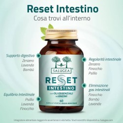 RESET INTESTINO SALUGEA 60CPS