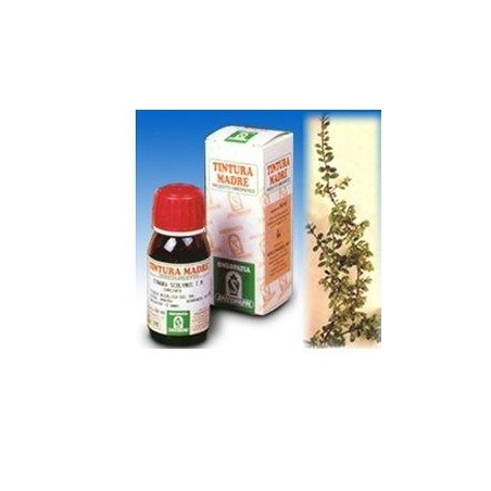 UVA URSINA 30 50ML TM UVA URSINA 30 50ML TM