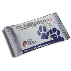 CLX WIPES POCKET 20PZ