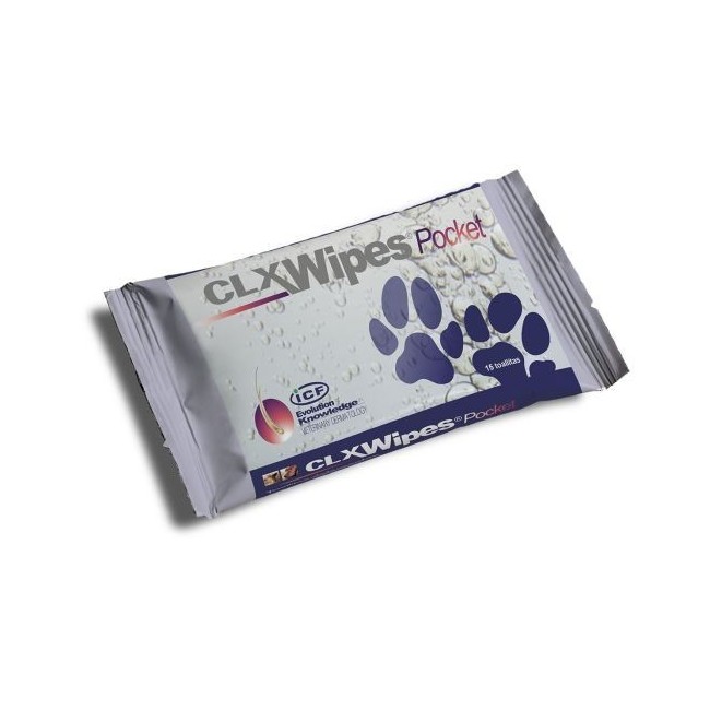 CLX WIPES POCKET 20PZ CLX WIPES POCKET 20PZ
