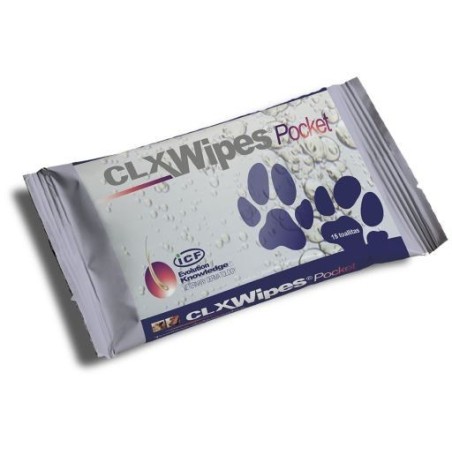 CLX WIPES POCKET 20PZ CLX WIPES POCKET 20PZ