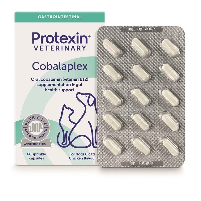 COBALAPLEX 60CPS COBALAPLEX 60CPS