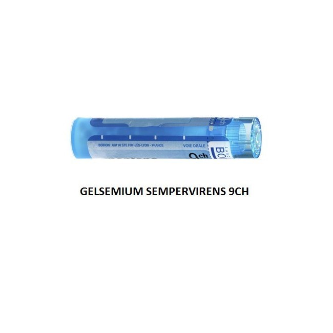 GELSEMIUM SEM BOI*9CH GR 4G GELSEMIUM SEM BOI*9CH GR 4G