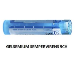 GELSEMIUM SEM BOI*9CH GR 4G GELSEMIUM SEM BOI*9CH GR 4G
