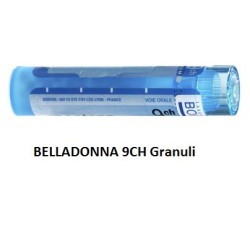 BELLADONNA BOI*9CH GR 4G BELLADONNA BOI*9CH GR 4G