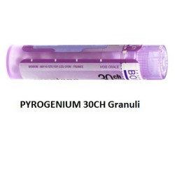 PYROGENIUM 30CH GR 4G