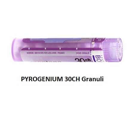 PYROGENIUM 30CH GR 4G PYROGENIUM 30CH GR 4G