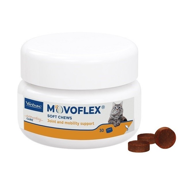 MOVOFLEX GATTO 30CPR MASTIC MOVOFLEX GATTO 30CPR MASTIC