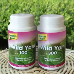 WILD YAM 300 50CPS