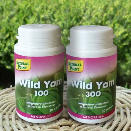 WILD YAM 300 50CPS WILD YAM 300 50CPS