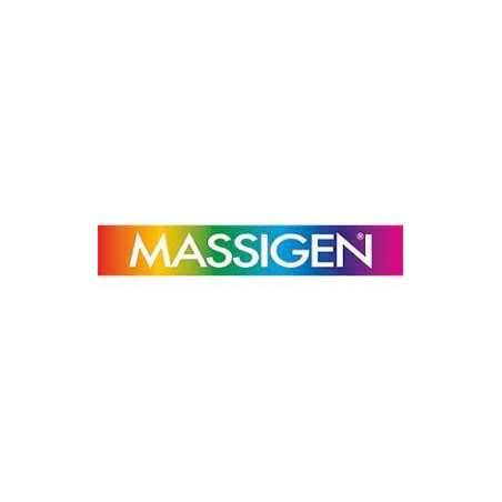 MASSIGEN PROBIOTICI 12STICK PP MASSIGEN PROBIOTICI 12STICK PP