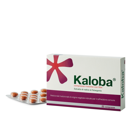 Kaloba 21 Compresse Rivestite 20 Mg Kaloba 21 Compresse Rivestite 20 Mg