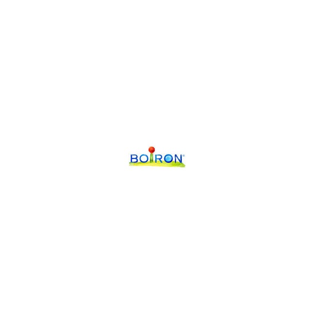 Arnica 200 Ch Globuli