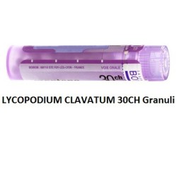 Lycopodium Cl Boi 30ch Gr 4g Lycopodium Cl Boi 30ch Gr 4g