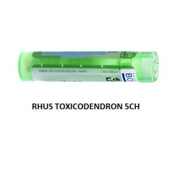 Rhus Tox Boi 5ch Gr 4g Rhus Tox Boi 5ch Gr 4g