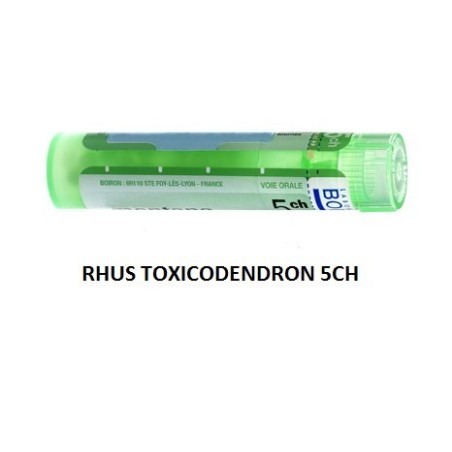 Rhus Tox Boi 5ch Gr 4g Rhus Tox Boi 5ch Gr 4g