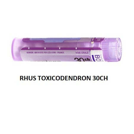 Rhus Tox Boi 30ch Gr 4g