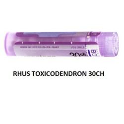 Rhus Tox Boi 30ch Gr 4g Rhus Tox Boi 30ch Gr 4g