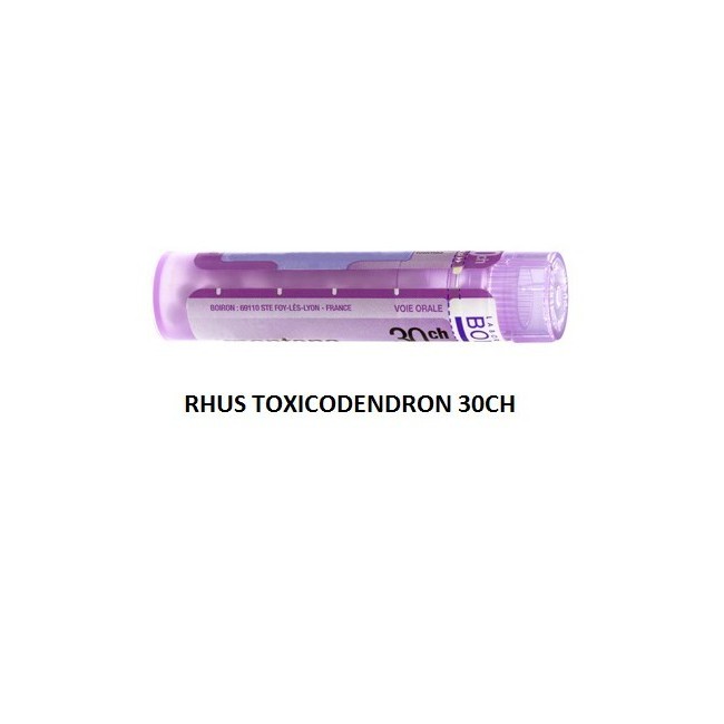 Rhus Tox Boi 30ch Gr 4g Rhus Tox Boi 30ch Gr 4g
