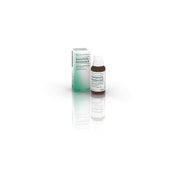 Hamamelis Homaccord Soluzione Orale Gocce30ml
