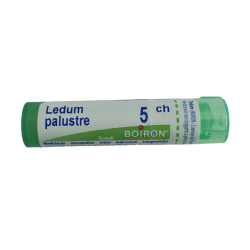 Ledum Palustre Boi 5ch Gr 4g Ledum Palustre Boi 5ch Gr 4g