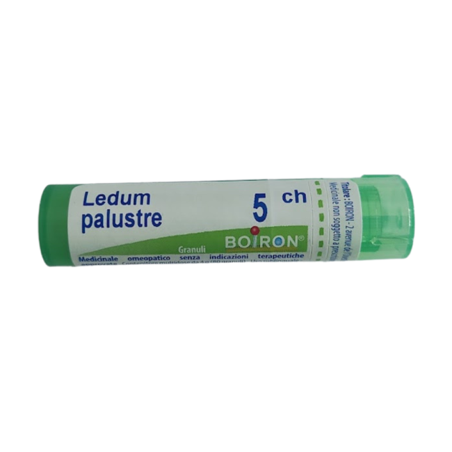 Ledum Palustre Boi 5ch Gr 4g Ledum Palustre Boi 5ch Gr 4g