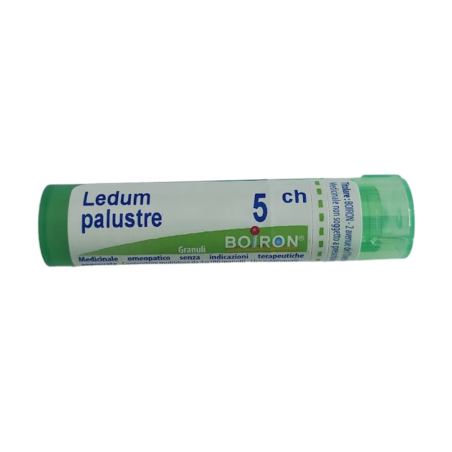 Ledum Palustre Boi 5ch Gr 4g Ledum Palustre Boi 5ch Gr 4g