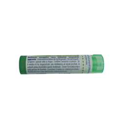 Ledum Palustre Boi 5ch Gr 4g Ledum Palustre Boi 5ch Gr 4g