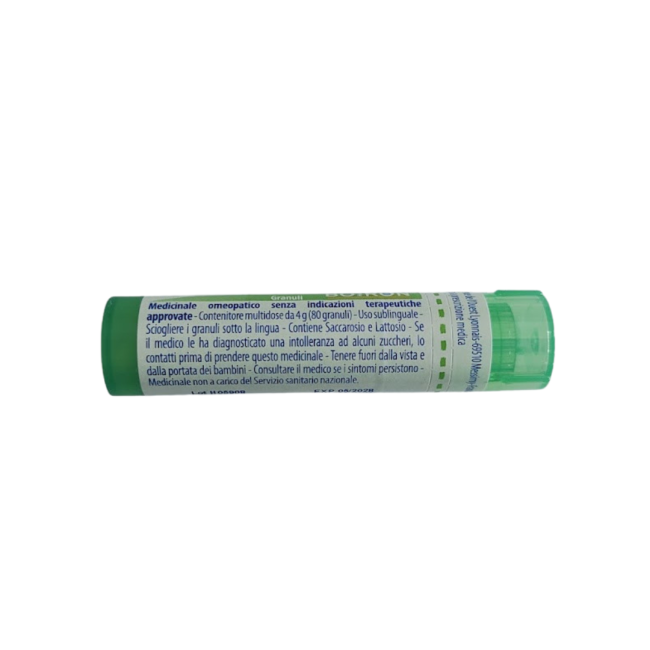 Ledum Palustre Boi 5ch Gr 4g Ledum Palustre Boi 5ch Gr 4g