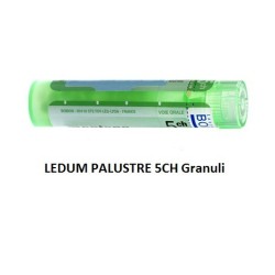 Ledum Palustre Boi 5ch Gr 4g Ledum Palustre Boi 5ch Gr 4g