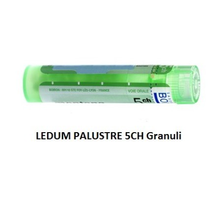 Ledum Palustre Boi 5ch Gr 4g Ledum Palustre Boi 5ch Gr 4g