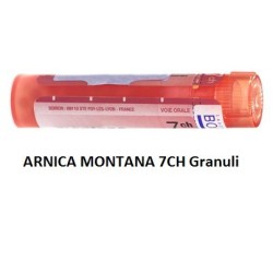 Arnica 7 Ch Granuli Arnica 7 Ch Granuli