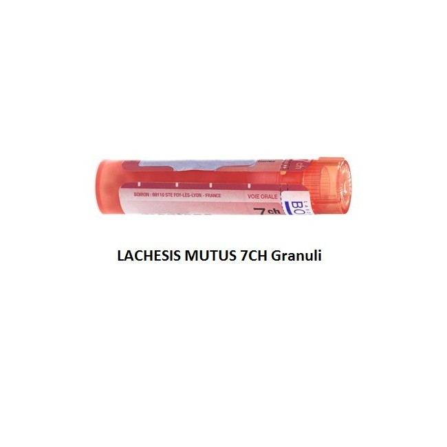 Lachesis Mutus 7 Ch Granuli