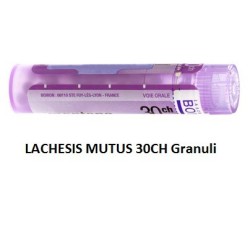 Lachesis Mutus 30 Ch Granuli Lachesis Mutus 30 Ch Granuli