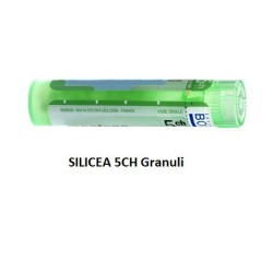 Silicea 5 Ch Granuli