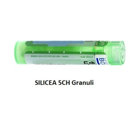 Silicea 5 Ch Granuli