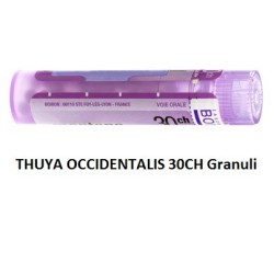 Thuya Occidentalis 30 Ch Granuli Thuya Occidentalis 30 Ch Granuli