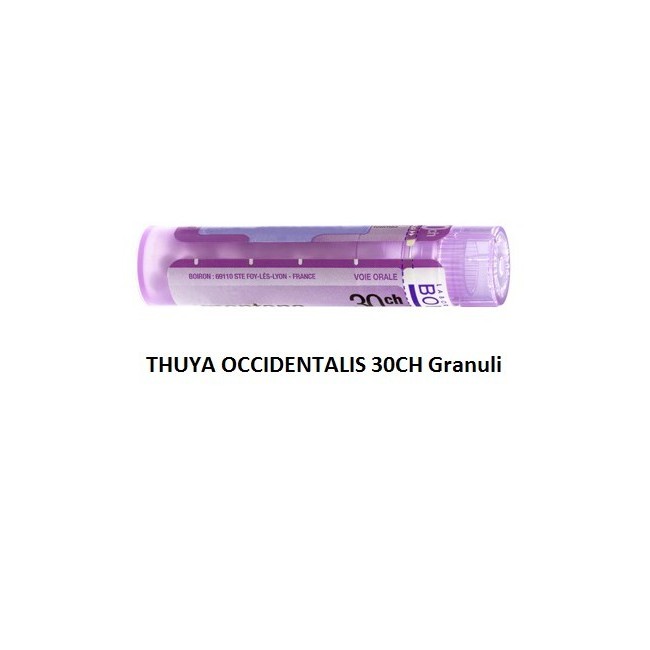 Thuya Occidentalis 30 Ch Granuli Thuya Occidentalis 30 Ch Granuli