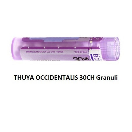 Thuya Occidentalis 30 Ch Granuli Thuya Occidentalis 30 Ch Granuli