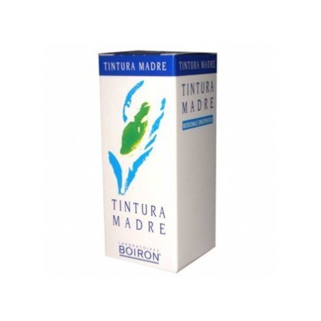 Ribes Nigranulium Tintura Madre 60 Ml